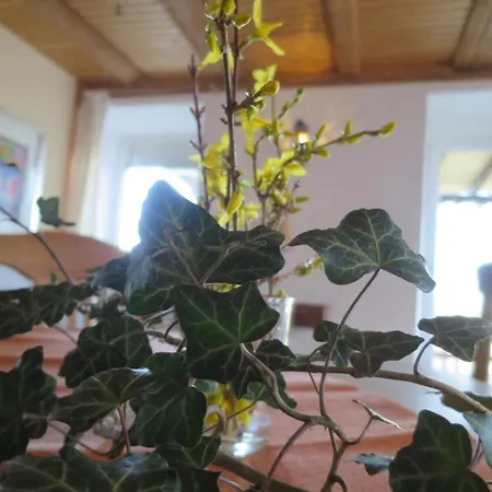 Apartment Alpaka-ferien Wiechs am Randen