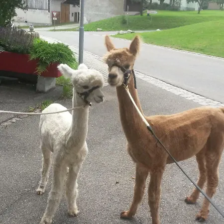 Apartment Alpaka-ferien