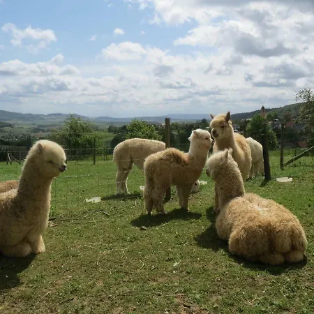 Alpaka-ferien * Wiechs am Randen