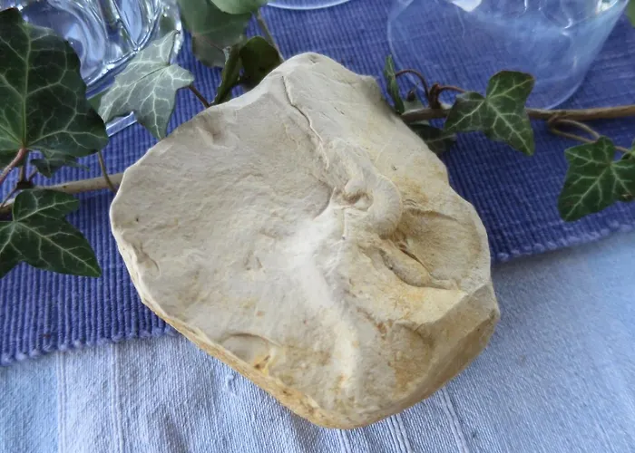 Lejlighed Alpaka-ferien *