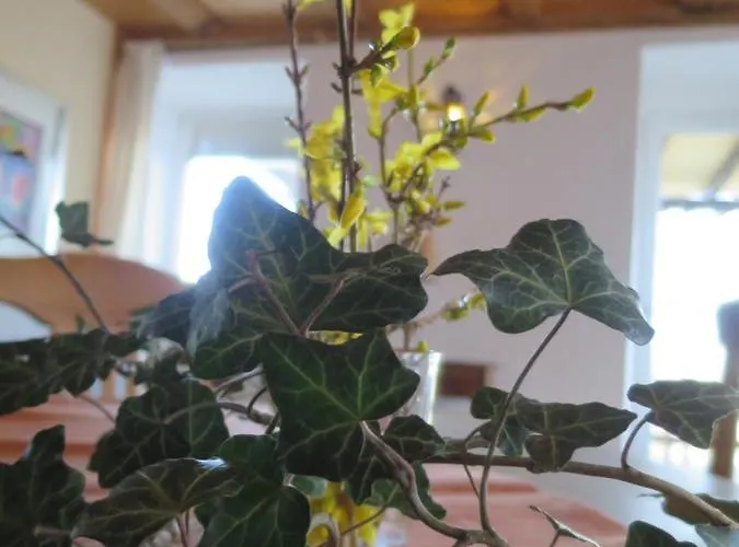 Lejlighed Alpaka-ferien Wiechs am Randen