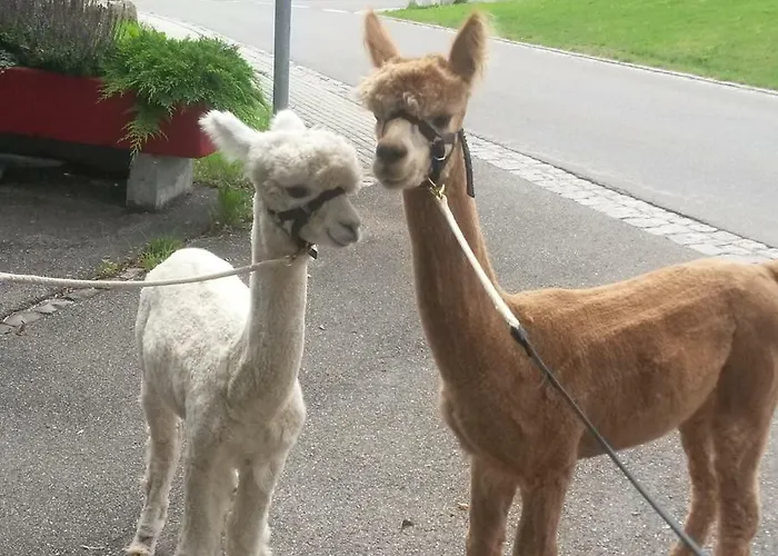 Lejlighed Alpaka-ferien