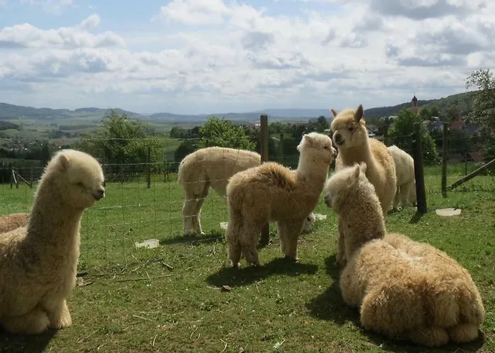 Alpaka-ferien * Wiechs am Randen